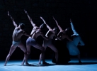  HIVE - INSIEME IRREALI asbl